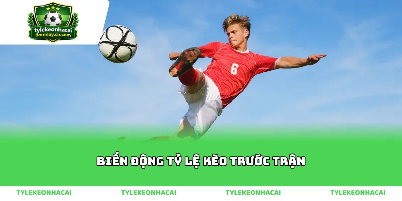 Phân tích cơn sốt biến động tỷ lệ kèo trước trận