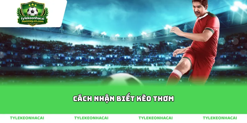 Tầm quan trọng của việc nắm bắt cách nhận biết kèo thơm