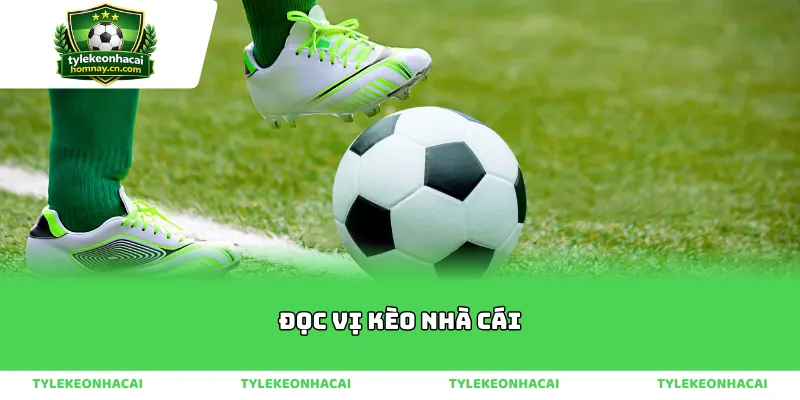 Nghệ thuật đọc vị kèo nhà cái cho người mới bắt đầu