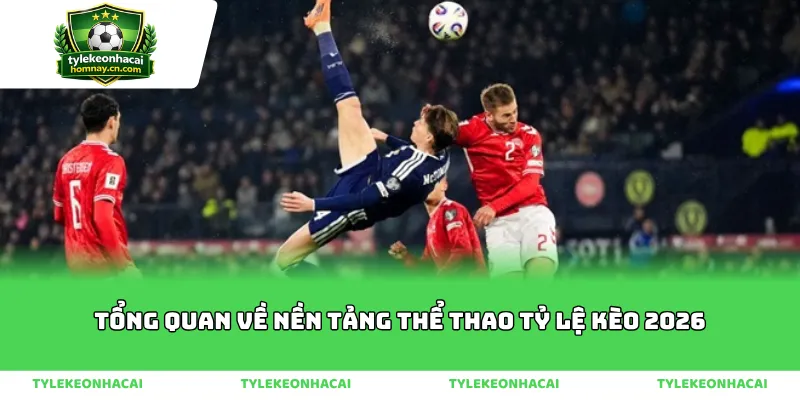 Tổng quan về nền tảng thể thao tỷ lệ kèo 2026